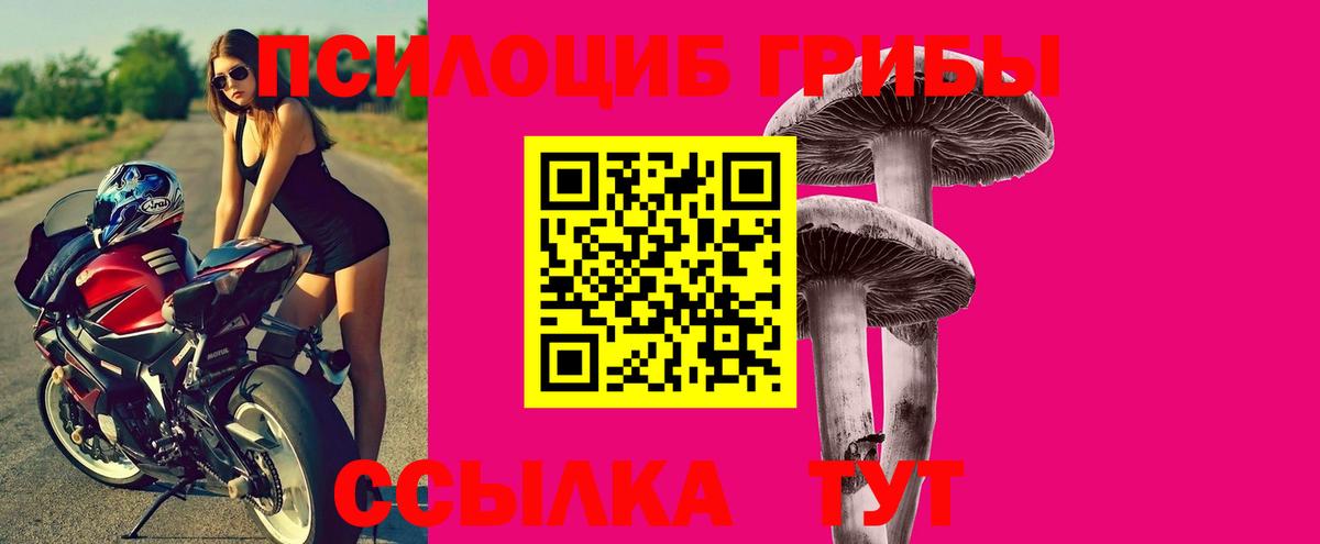 Псилоцибиновые грибы Cubensis  Псилоцибиновые грибы Psilocybe  Набережные Челны  Вход с VPN 
